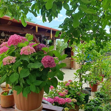 Feher Rozsa Apartman Cserszegtomaj Exterior foto