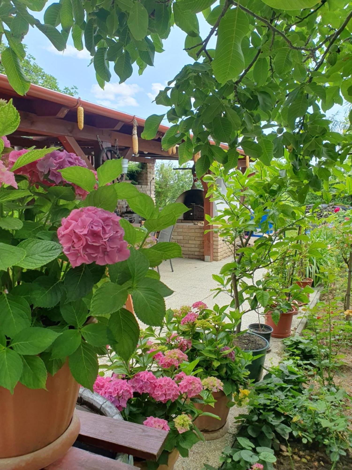 Feher Rozsa Apartman Cserszegtomaj Exterior foto