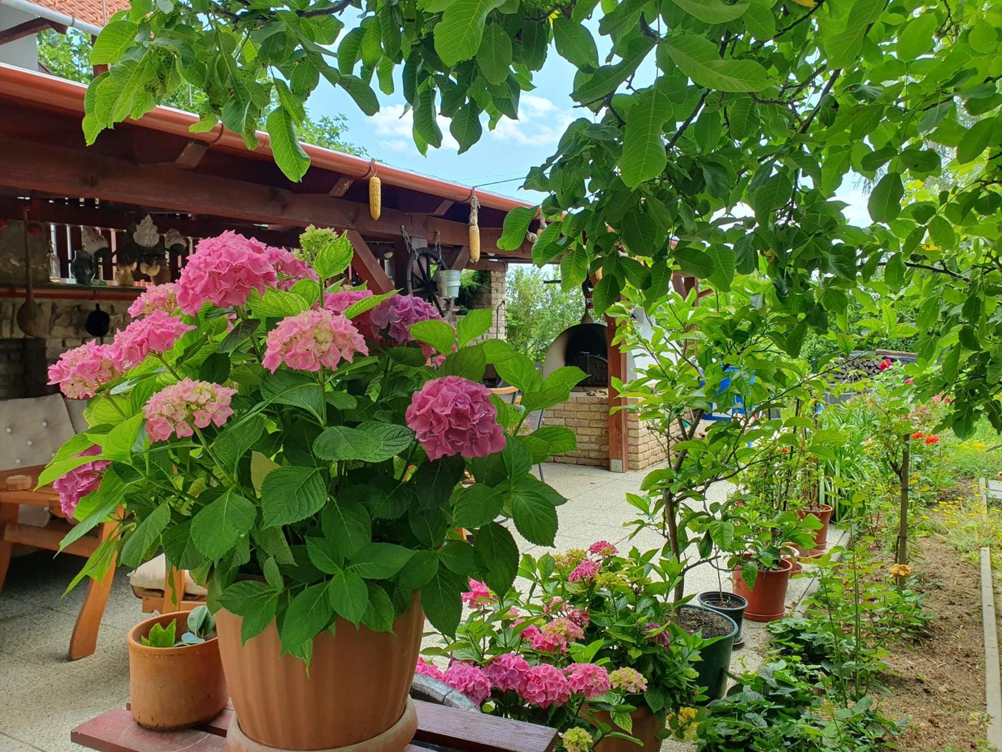 Feher Rozsa Apartman Cserszegtomaj Exterior foto