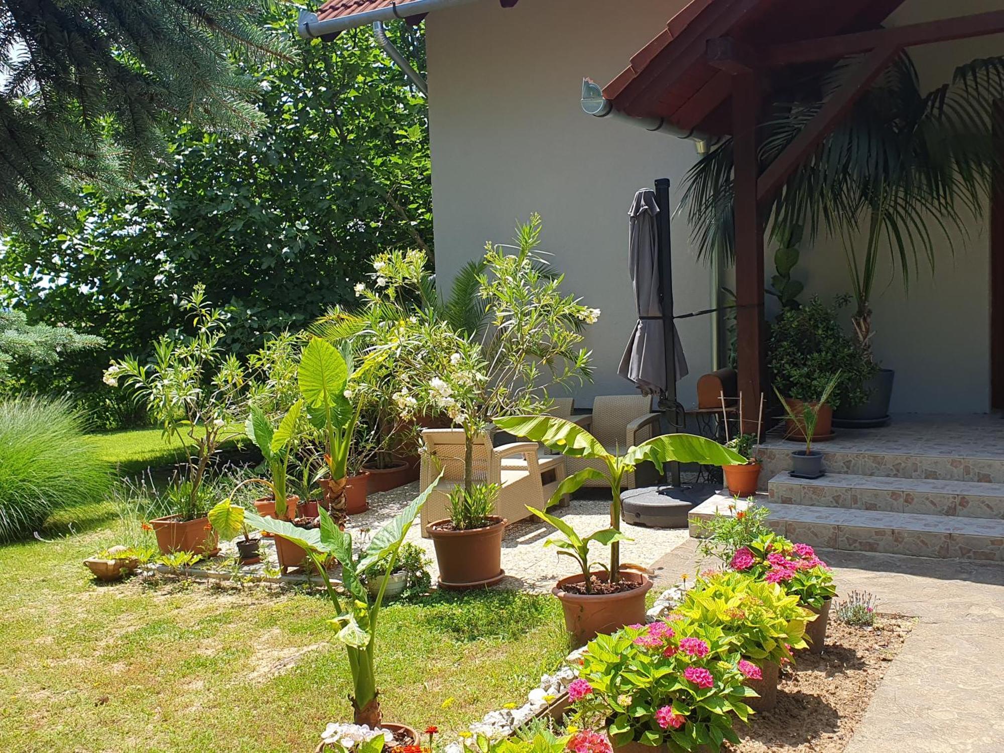 Feher Rozsa Apartman Cserszegtomaj Exterior foto