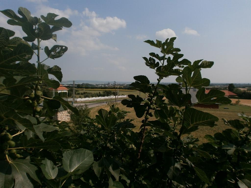 Feher Rozsa Apartman Cserszegtomaj Zimmer foto